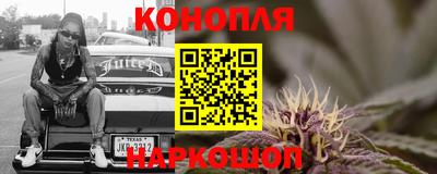сатива Бердск