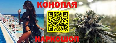 сатива Бердск