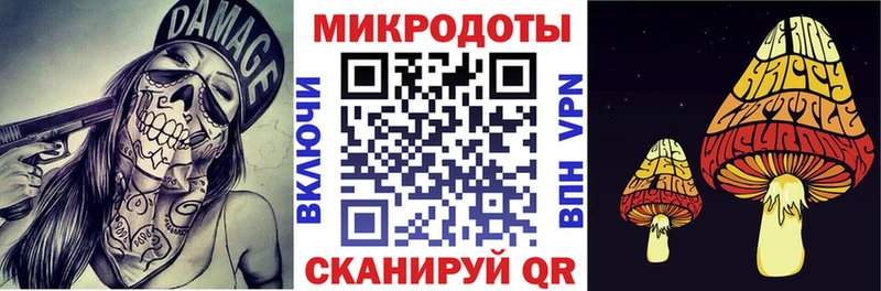 Псилоцибиновые грибы Psilocybine cubensis  Бахчисарай 