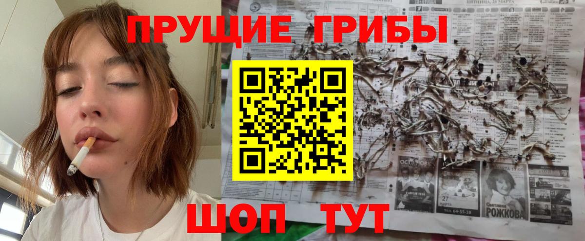 цена наркотик  Псилоцибиновые грибы прущие грибы  Вход с VPN  Бахчисарай 